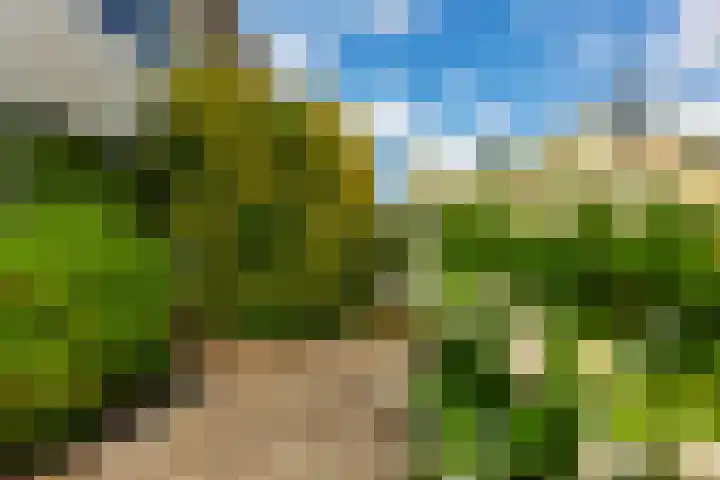 Van der Valk Boumanweg 45 Leiderdorp thumbnail 41