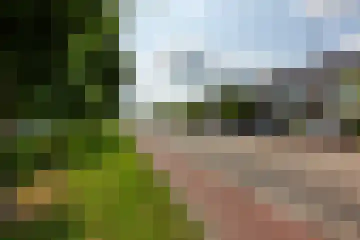 Van der Valk Boumanweg 45 Leiderdorp thumbnail 43
