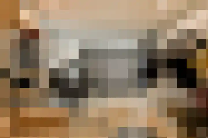 Van der Veenstraat 11 Reeuwijk thumbnail 12