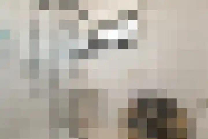 Van der Veenstraat 11 Reeuwijk thumbnail 20