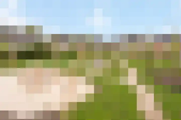 van der Veenstraat 18 Tubbergen thumbnail 20