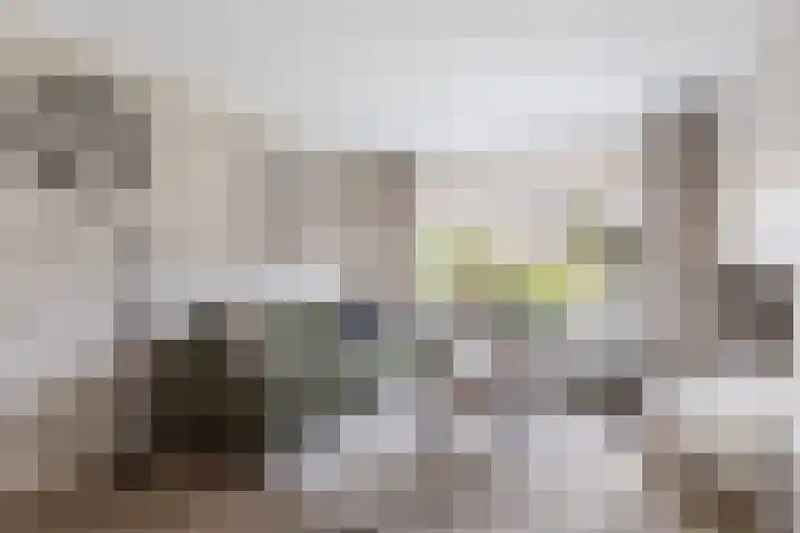 van der Veenstraat 18 Tubbergen thumbnail 6