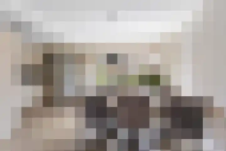 van der Veenstraat 18 Tubbergen thumbnail 9