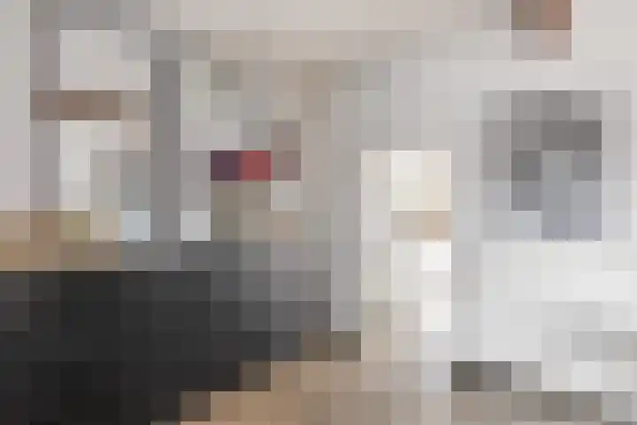 van der Veenstraat 22 Tubbergen thumbnail 9