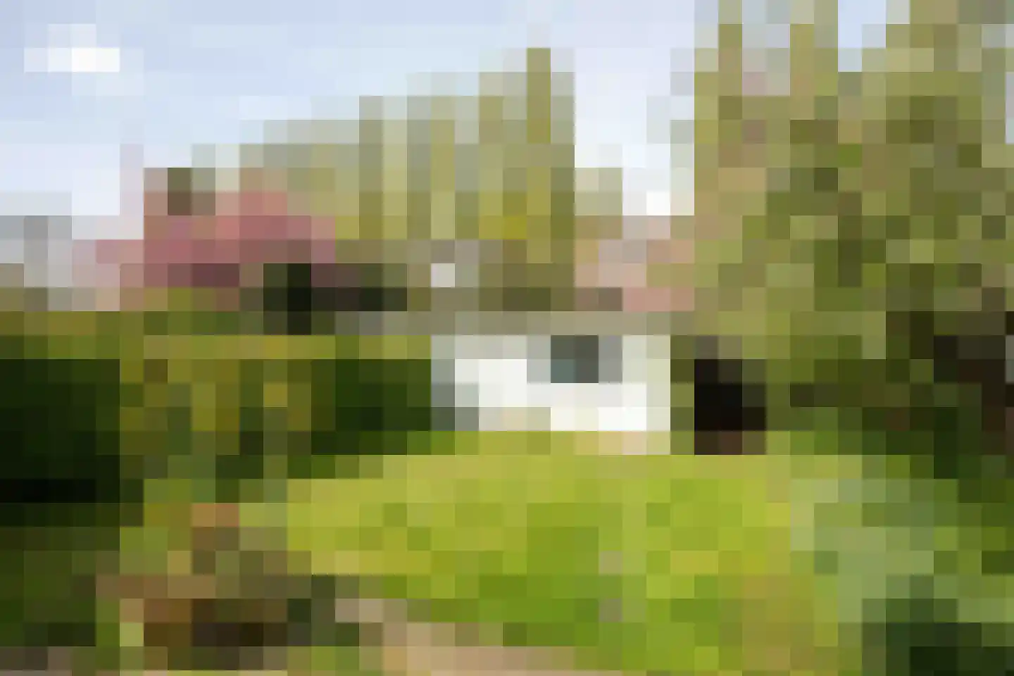 Van der Veerelaan 31 Amstelveen thumbnail 16