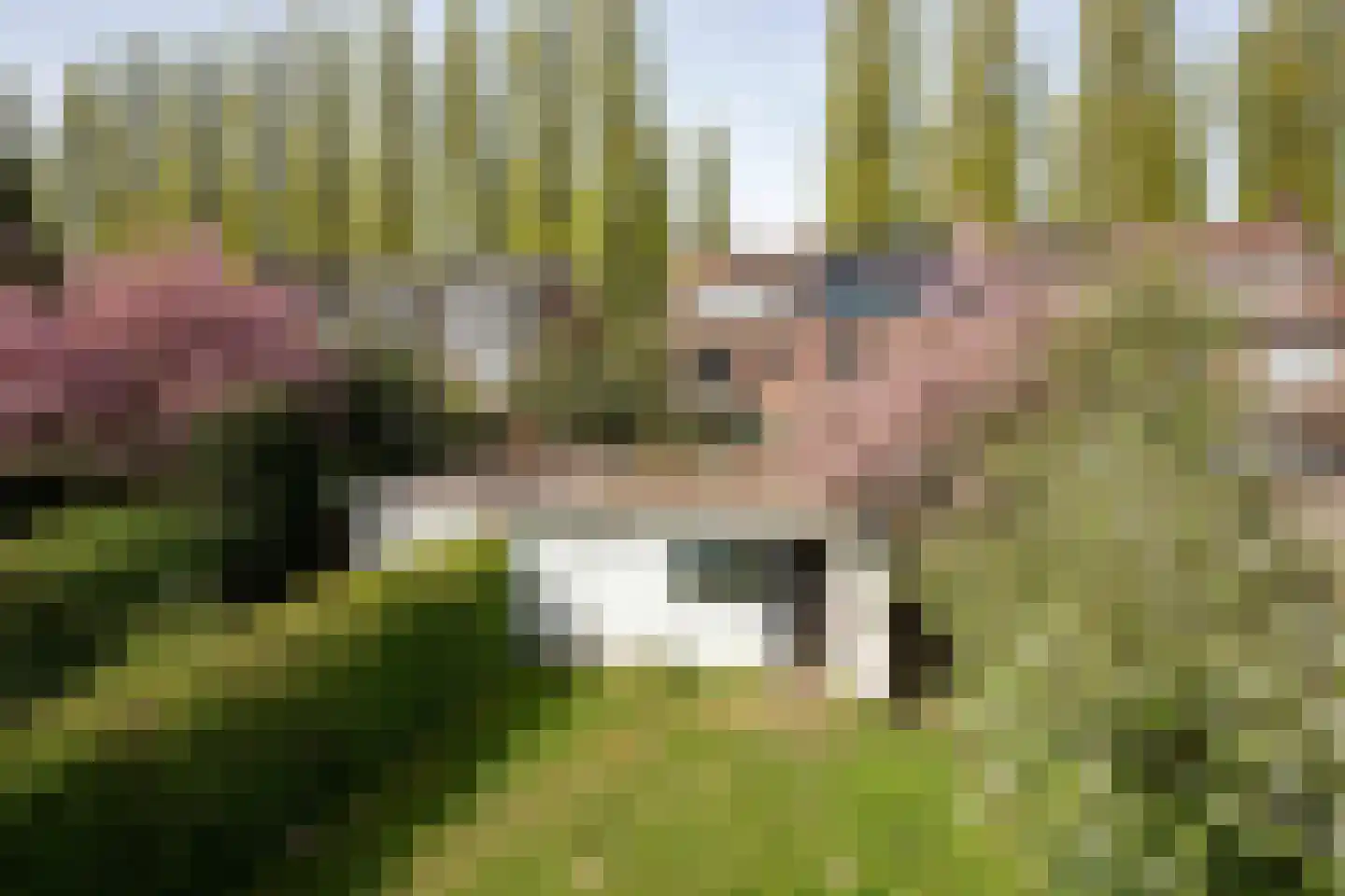 Van der Veerelaan 31 Amstelveen thumbnail 18