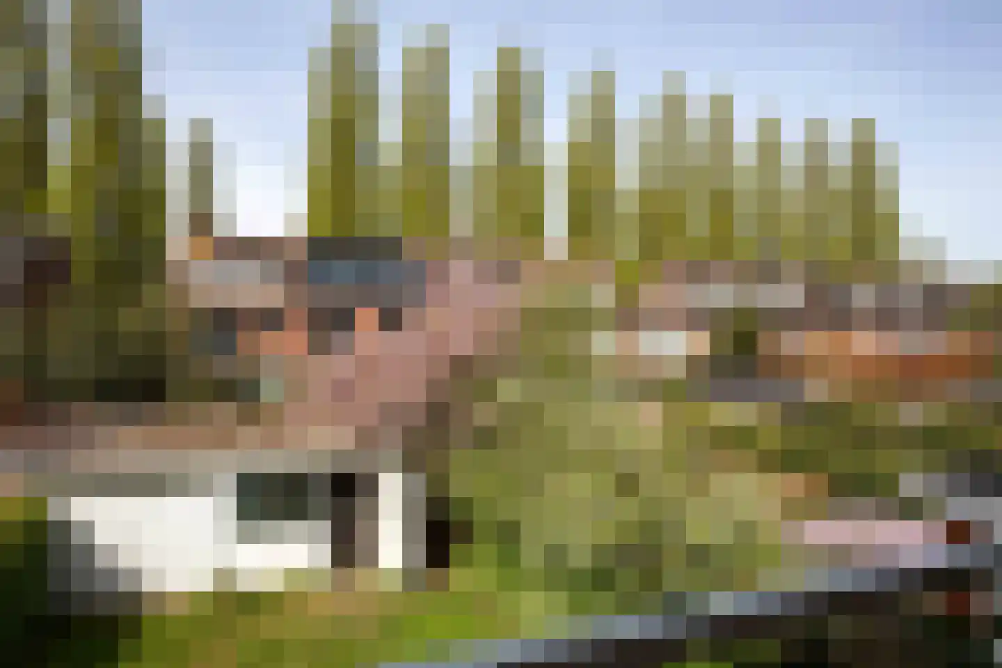 Van der Veerelaan 31 Amstelveen thumbnail 27