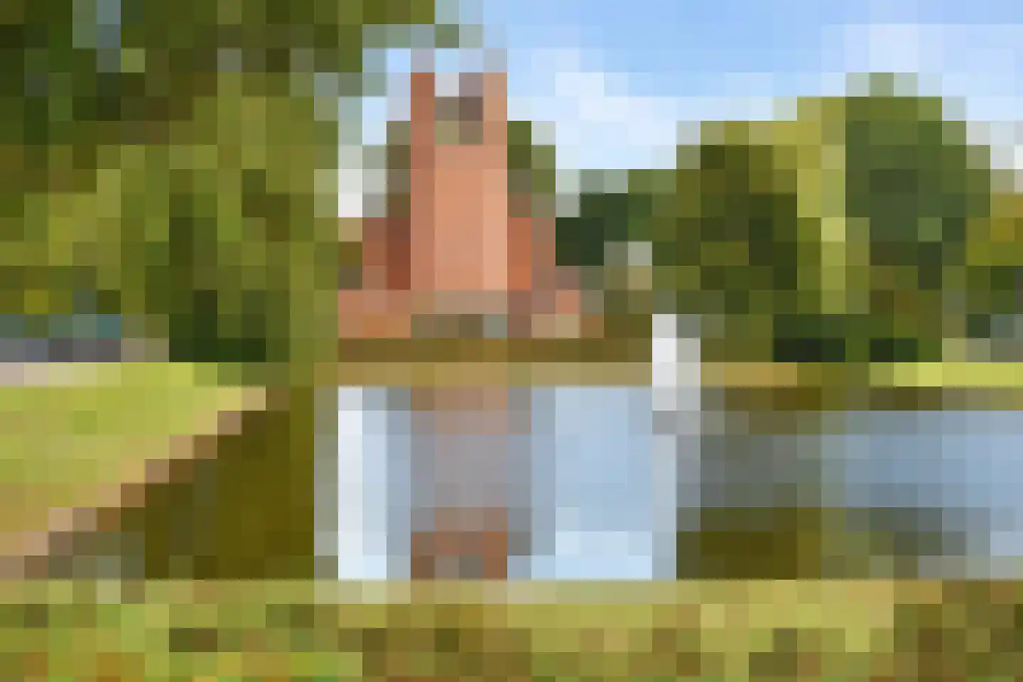Van der Veerelaan 33 Amstelveen thumbnail 41