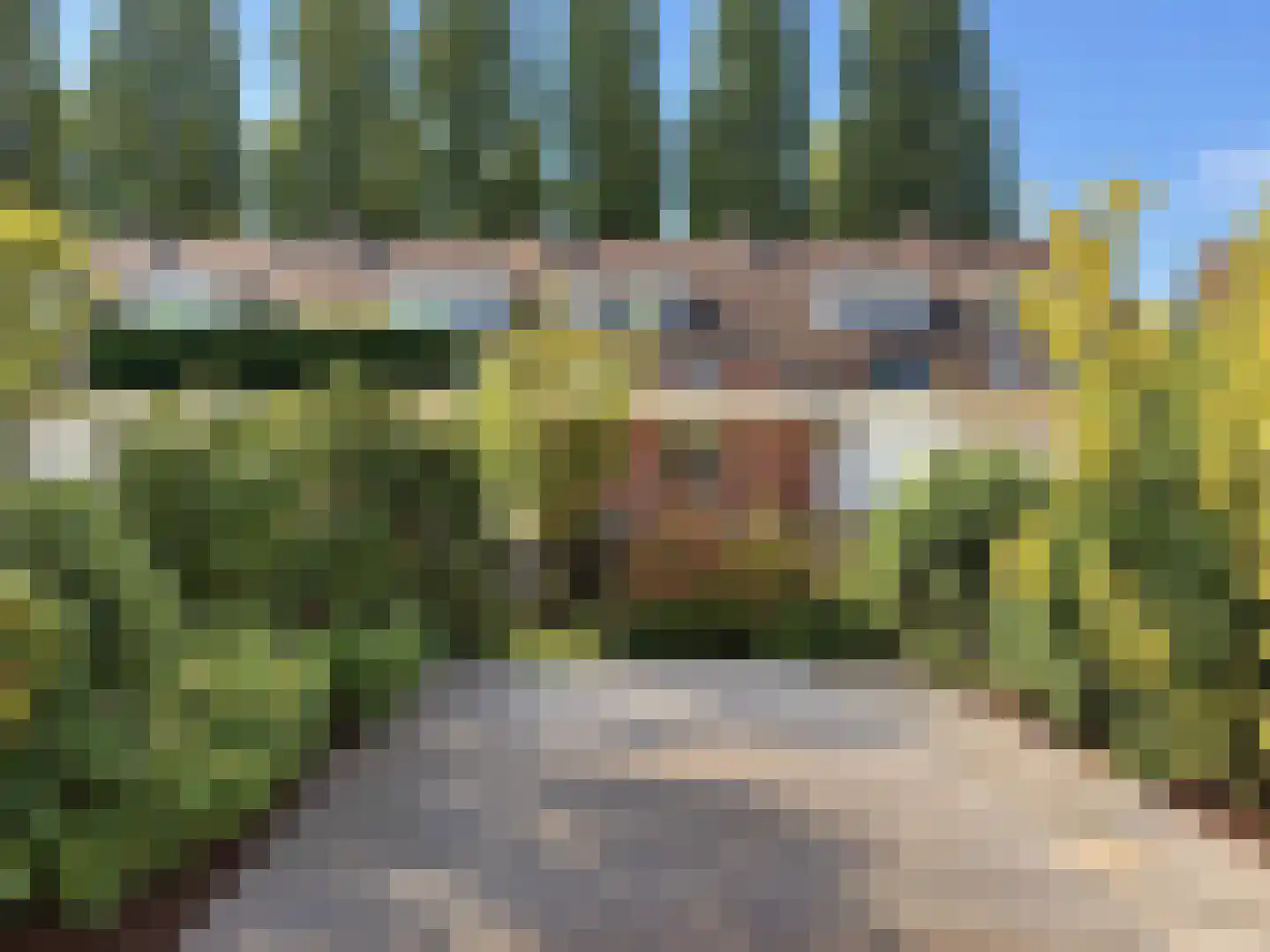 Van der Veerelaan 45 Amstelveen thumbnail 18