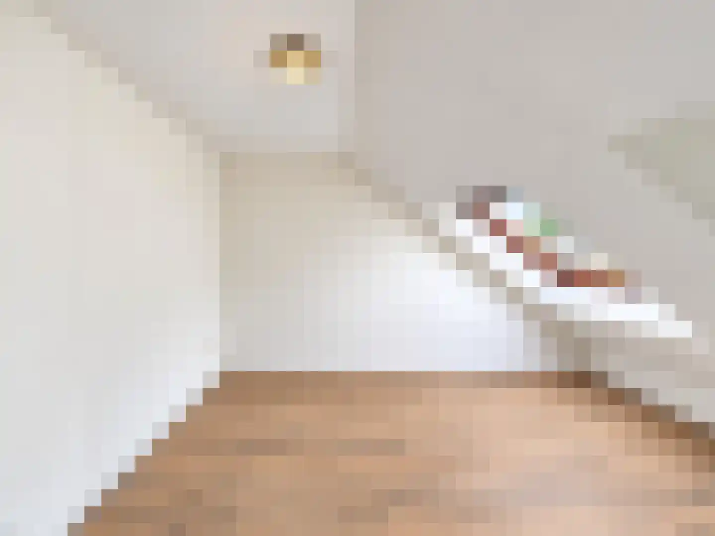 Van der Veerelaan 45 Amstelveen thumbnail 27