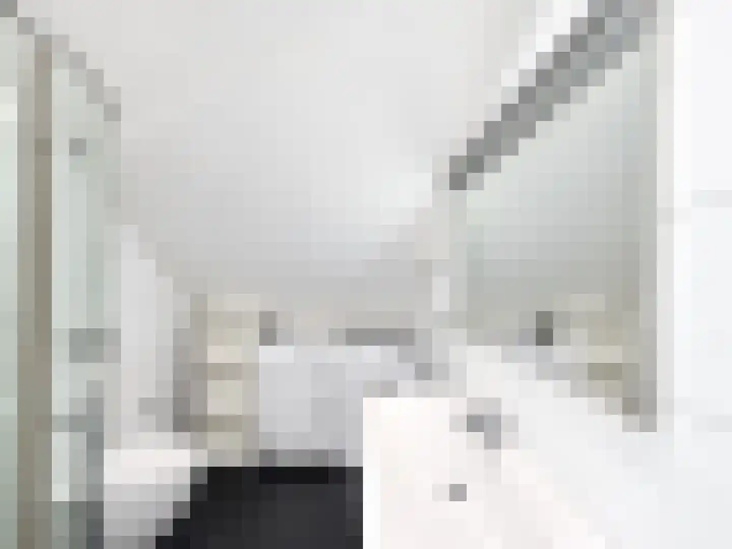 Van der Veerelaan 45 Amstelveen thumbnail 31