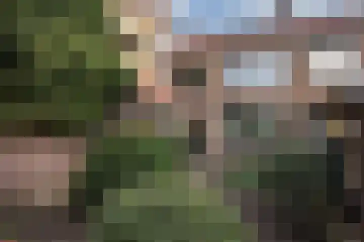 van der Vegtestraat 143 Zutphen thumbnail 18