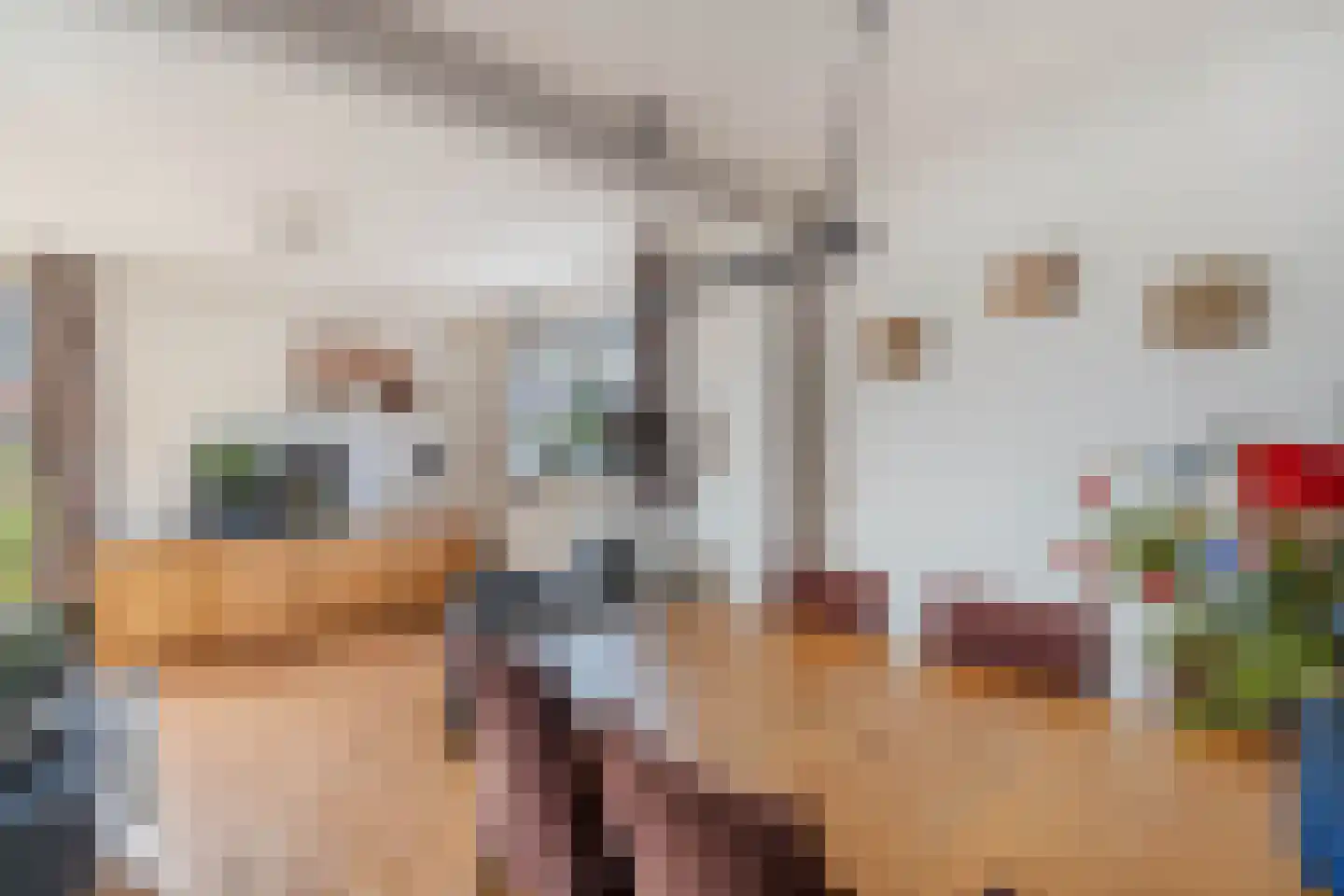 Van der Veldestrjitte 6 Tijnje thumbnail 13