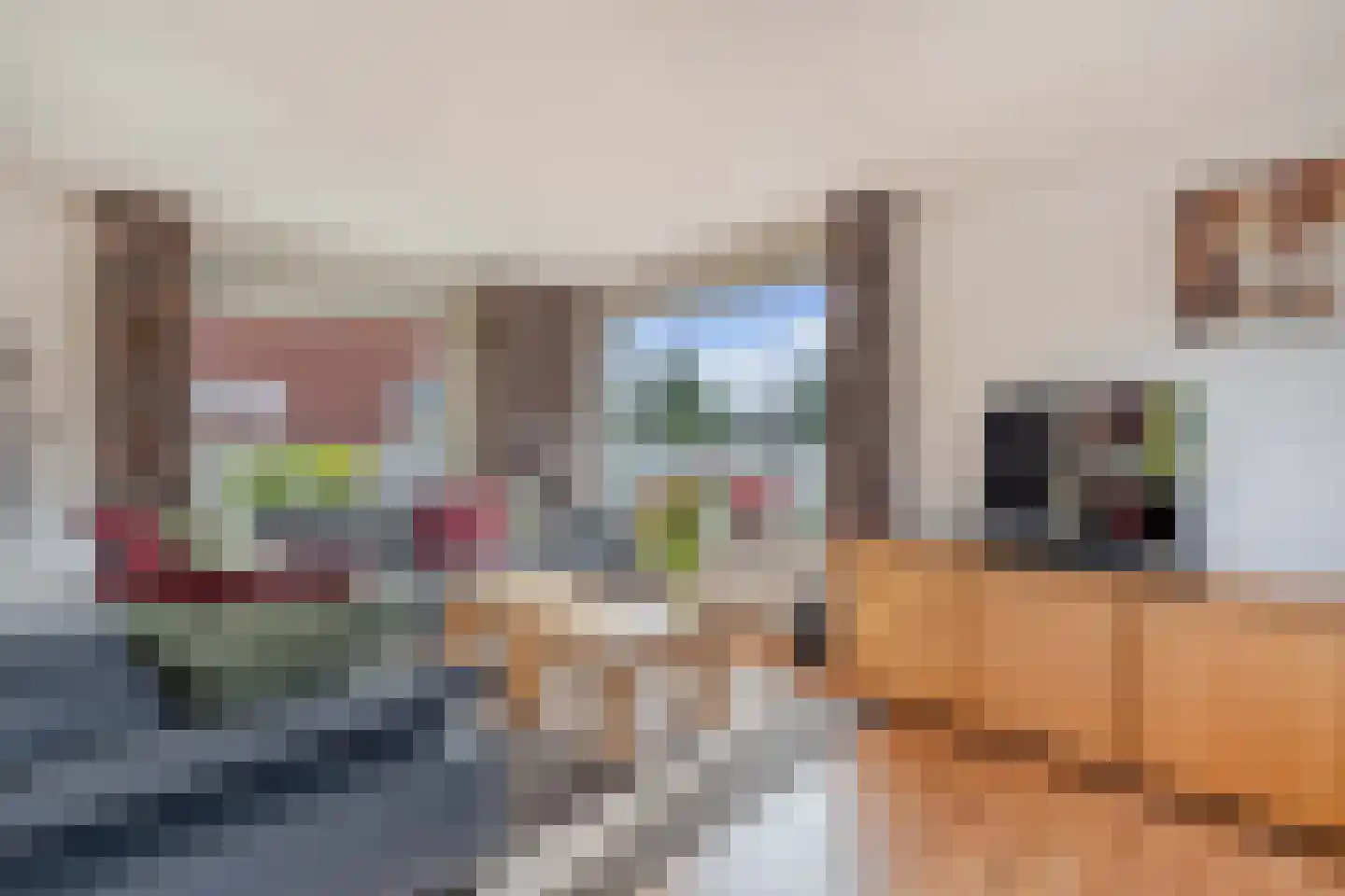 Van der Veldestrjitte 6 Tijnje thumbnail 14