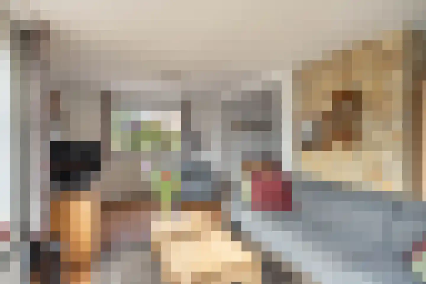 Van der Veldestrjitte 6 Tijnje thumbnail 16