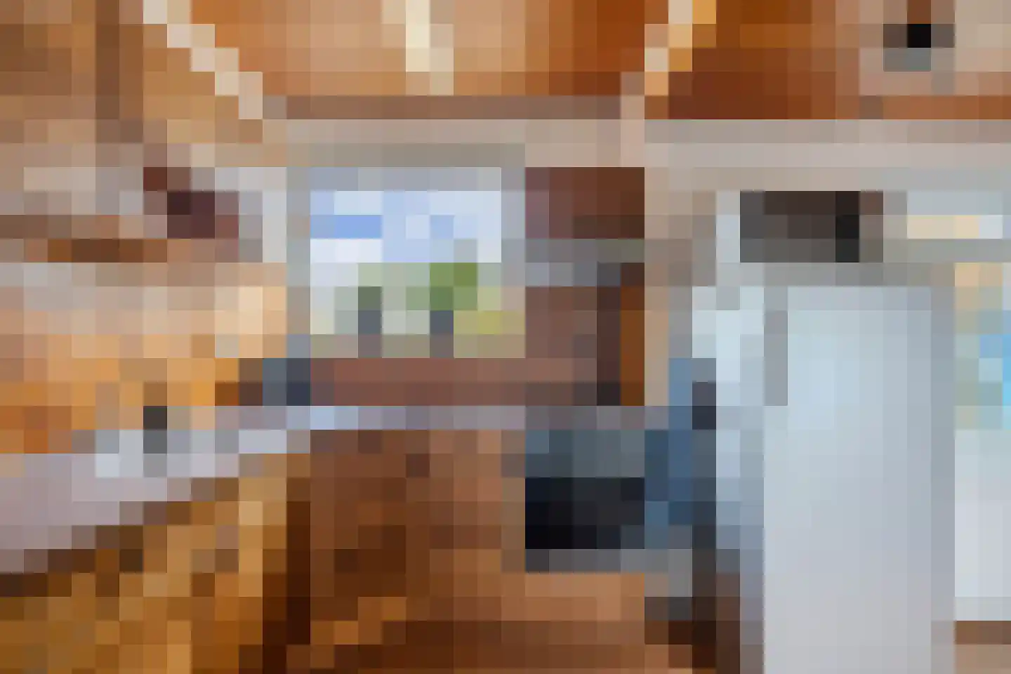 Van der Veldestrjitte 6 Tijnje thumbnail 18