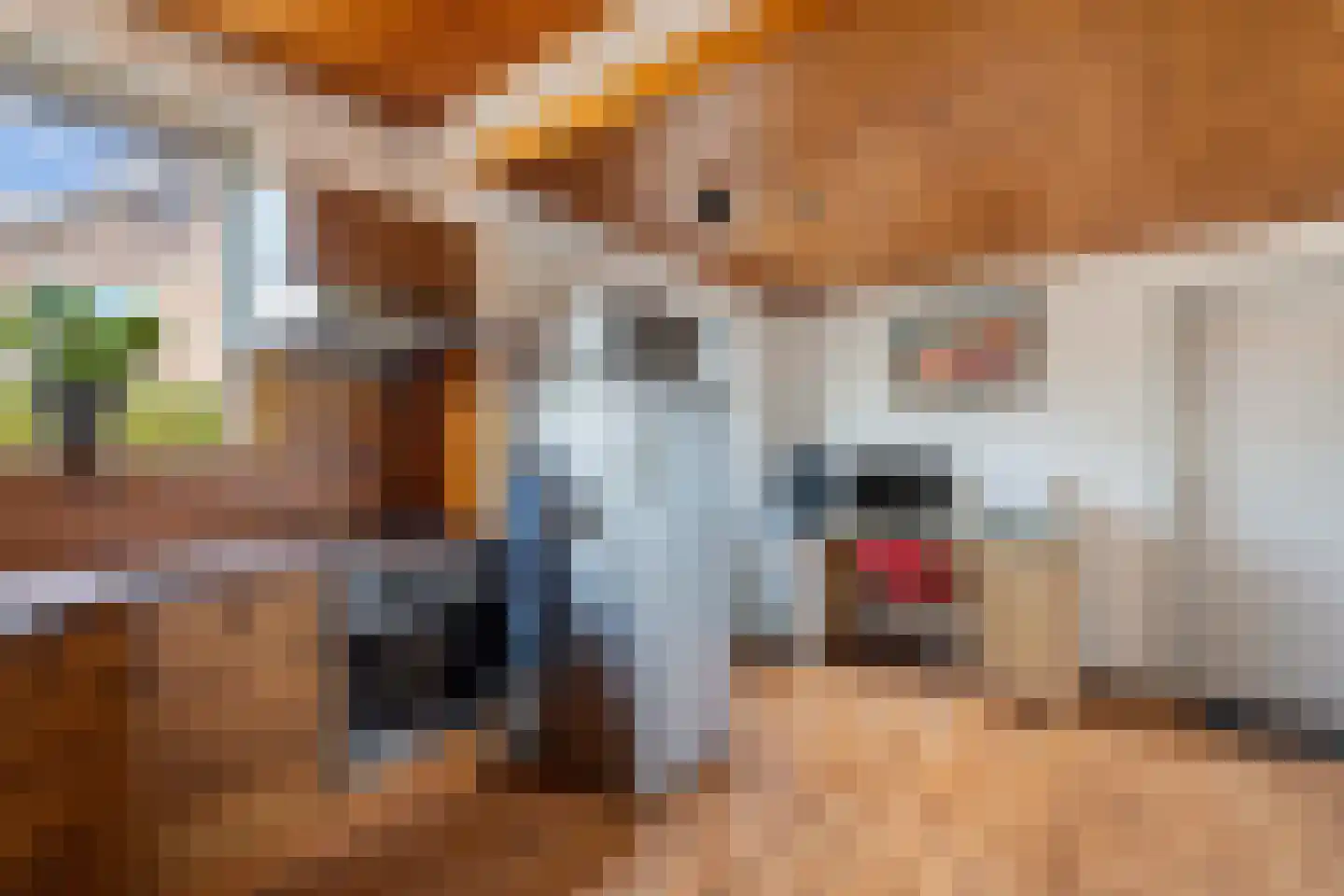 Van der Veldestrjitte 6 Tijnje thumbnail 19