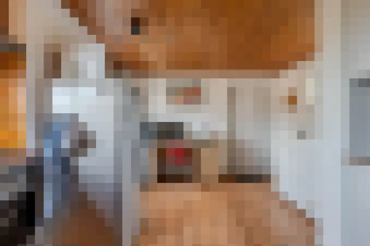 Van der Veldestrjitte 6 Tijnje thumbnail 20