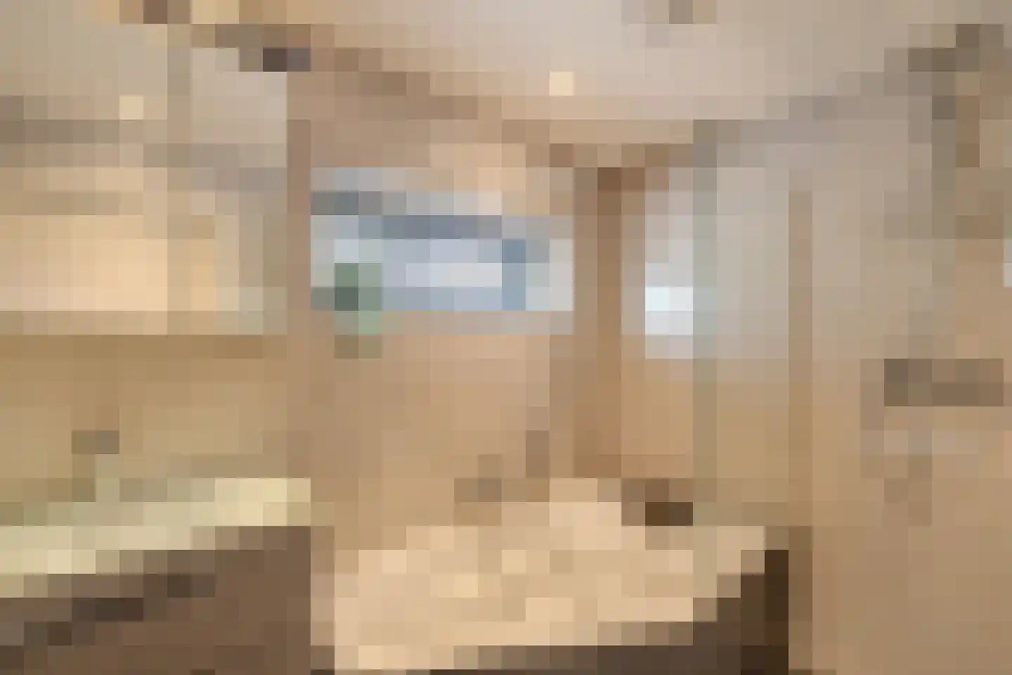 Van der Veldestrjitte 6 Tijnje thumbnail 26