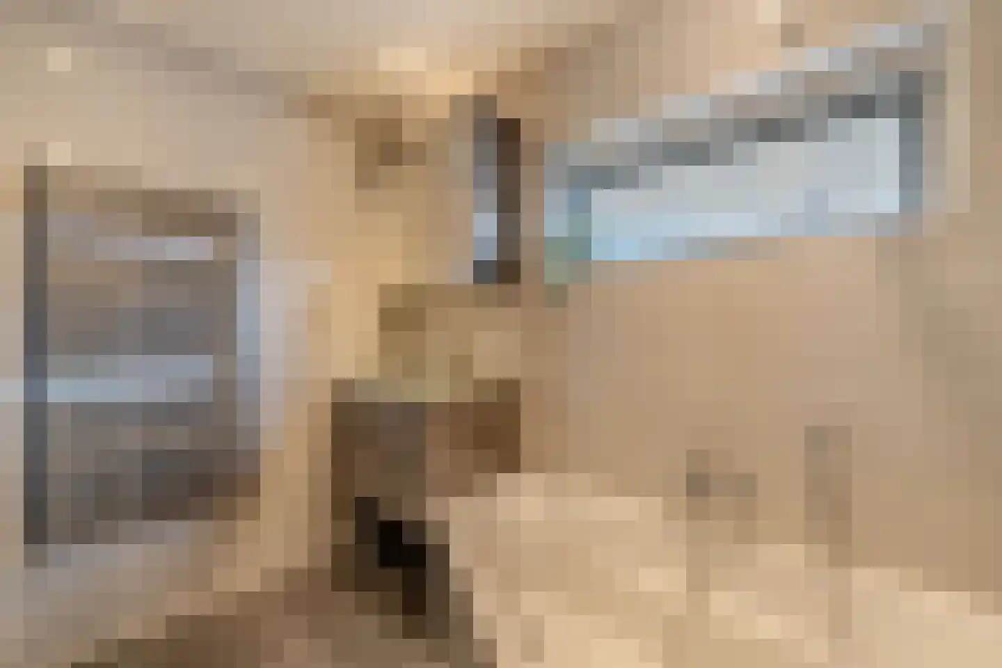 Van der Veldestrjitte 6 Tijnje thumbnail 27