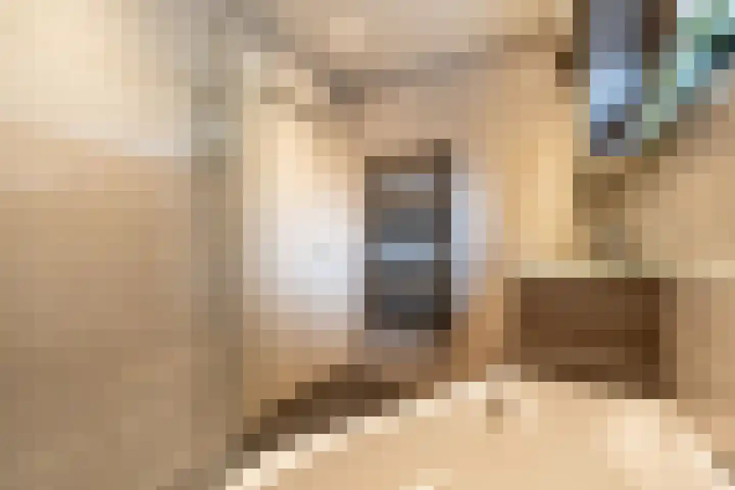 Van der Veldestrjitte 6 Tijnje thumbnail 28