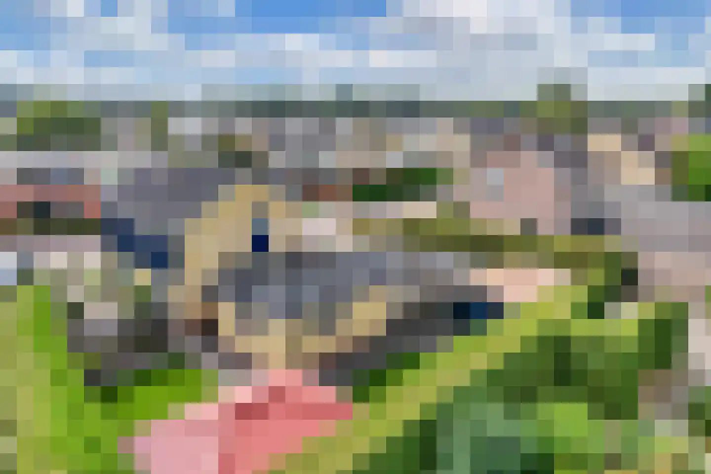Van der Veldestrjitte 6 Tijnje thumbnail 54