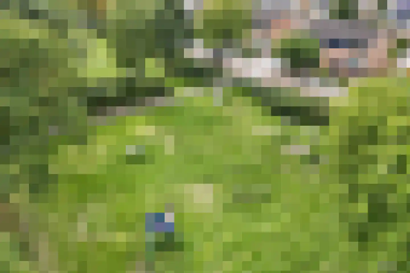 Van der Veldestrjitte 6 Tijnje thumbnail 59
