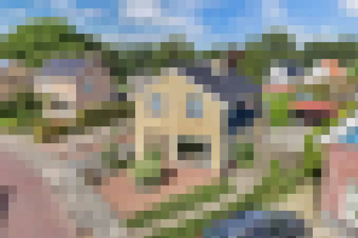 Van der Veldestrjitte 6 Tijnje thumbnail 6
