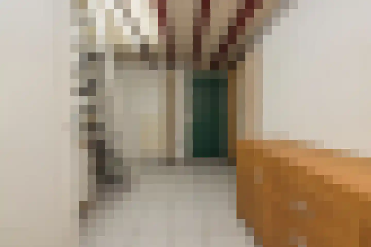 van der Veldstraat 1 Lisse thumbnail 15