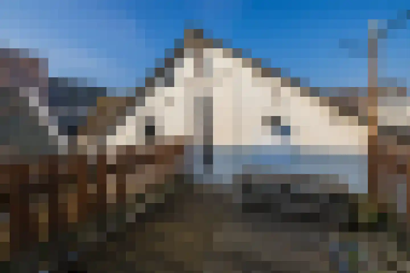 van der Veldstraat 1 Lisse thumbnail 22
