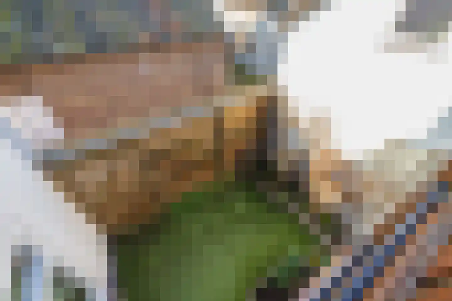 van der Veldstraat 1 Lisse thumbnail 23