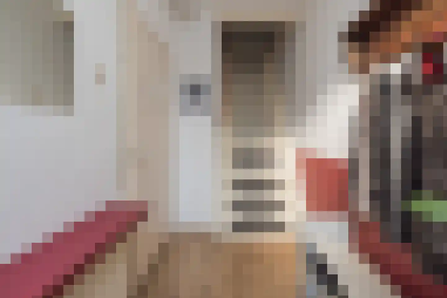 van der Veldstraat 1 Lisse thumbnail 24