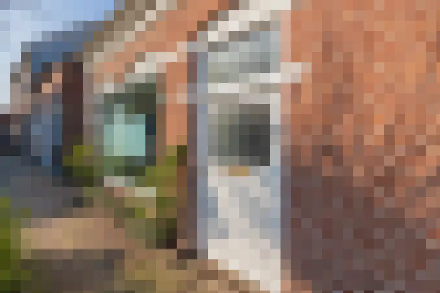 van der Veldstraat 1 Lisse thumbnail 5