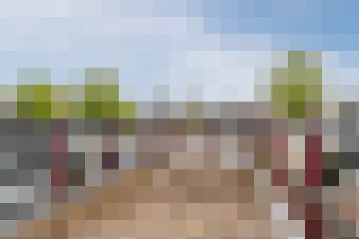 van der Veldstraat 26 Lisse thumbnail 24