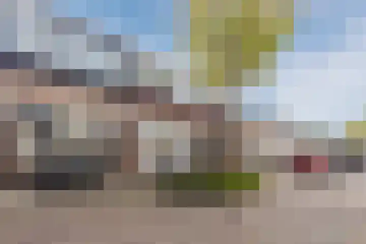 van der Veldstraat 26 Lisse thumbnail 33