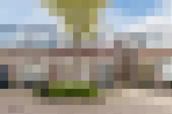 van der Veldstraat 26 Lisse thumbnail 37
