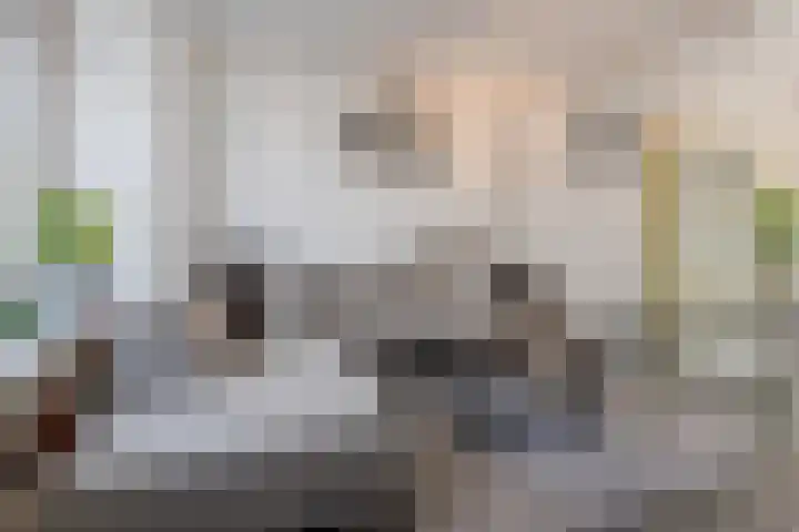 van der Veldstraat 26 Lisse thumbnail 4