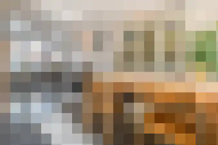 van der Veldstraat 26 Lisse thumbnail 8
