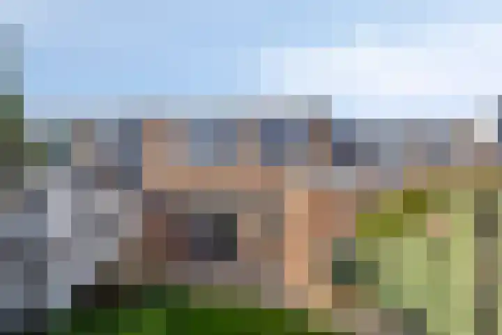 van der Veldstraat 4 Lisse thumbnail 23