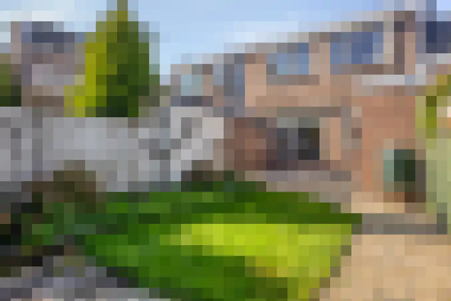 van der Veldstraat 4 Lisse thumbnail 4