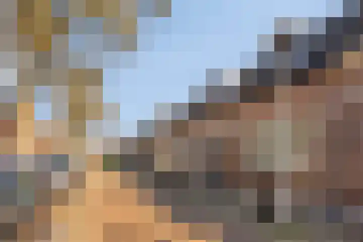 van der Veldstraat 4 Lisse thumbnail 5