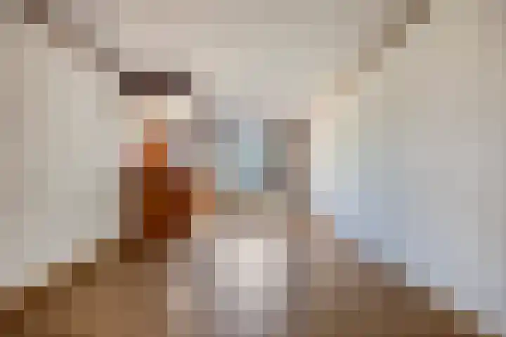 van der Veldstraat 4 Lisse thumbnail 8
