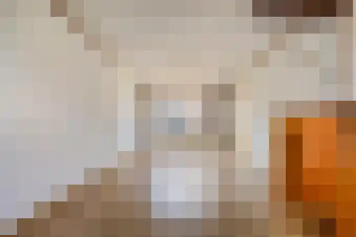 van der Veldstraat 4 Lisse thumbnail 9