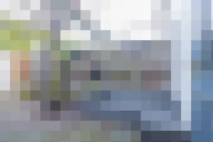 van der Veldstraat 5 Lisse thumbnail 31