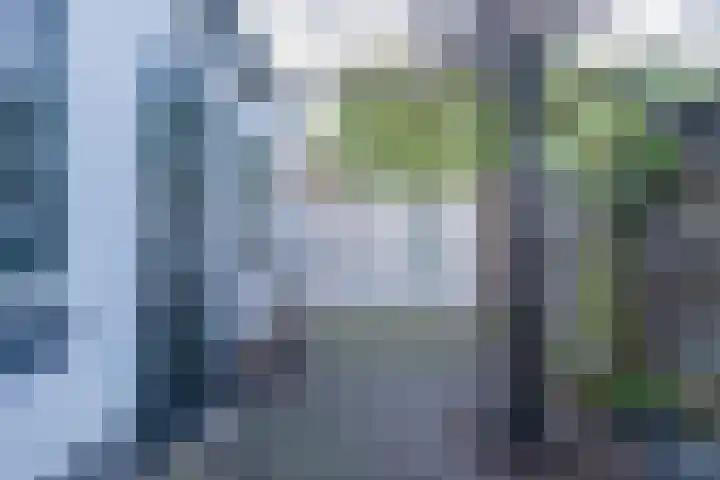 van der Veldstraat 5 Lisse thumbnail 32