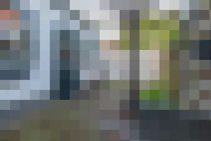 van der Veldstraat 5 Lisse thumbnail 33