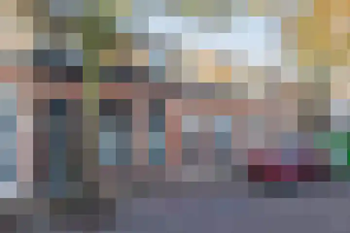 van der Veldstraat 5 Lisse thumbnail 34