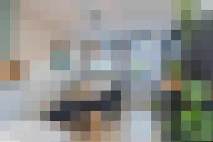van der Veldstraat 5 Lisse thumbnail 6