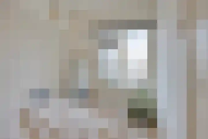 Van der Venstraat 23 's-Hertogenbosch thumbnail 12