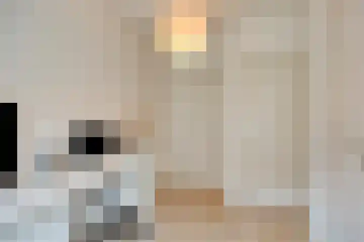 Van der Venstraat 23 's-Hertogenbosch thumbnail 16